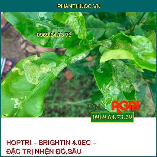 HOPTRI – BRIGHTIN 4.0EC – ĐẶC TRỊ NHỆN ĐỎ,SÂU