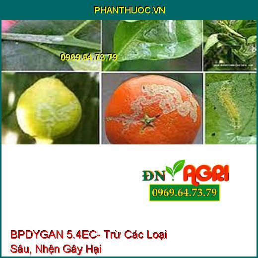 BPDYGAN 5.4EC- Trừ Các Loại Sâu, Nhện Gây Hại