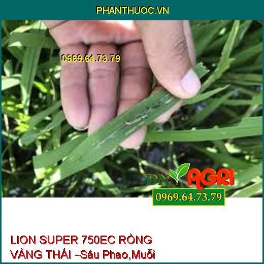 LION SUPER 750EC RỒNG VÀNG THÁI –Sâu Phao,Muỗi Hành