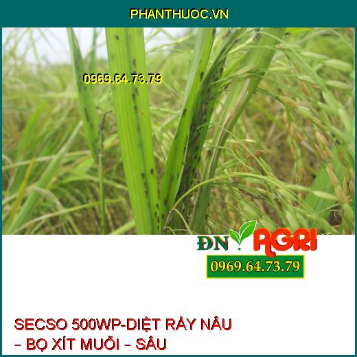 SECSO 500WP-DIỆT RẦY NÂU – BỌ XÍT MUỖI – SÂU KHOANG