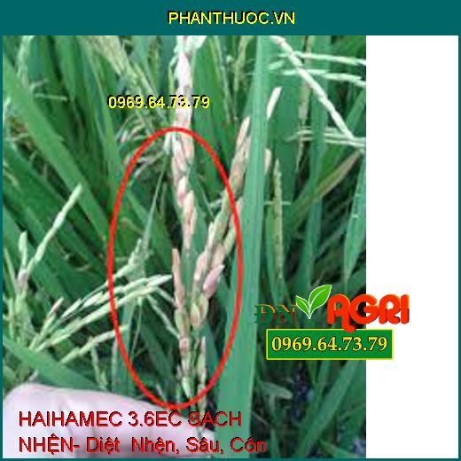 HAIHAMEC 3.6EC SẠCH NHỆN- Diệt Nhện, Sâu, Côn Trùng