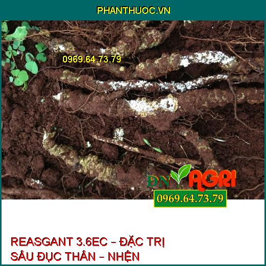 REASGANT 3.6EC – ĐẶC TRỊ SÂU ĐỤC THÂN – NHỆN