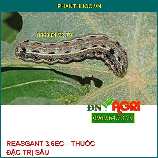 REASGANT 3.6EC – THUỐC ĐẶC TRỊ SÂU