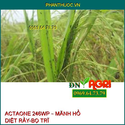 ACTAONE 246WP – MÃNH HỔ DIỆT RẦY-BỌ TRĨ