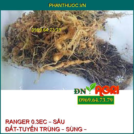 RANGER 0.3EC – SÂU ĐẤT-TUYẾN TRÙNG – SÙNG – BỌ HÀ