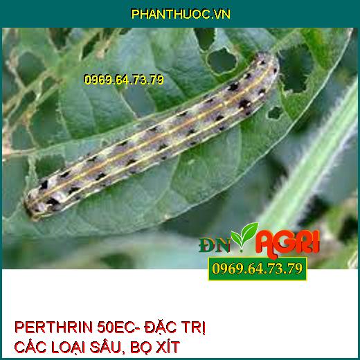 PERTHRIN 50EC- ĐẶC TRỊ CÁC LOẠI SÂU, BỌ XÍT