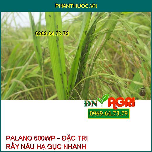 PALANO 600WP – ĐẶC TRỊ RẦY NÂU HẠ GỤC NHANH