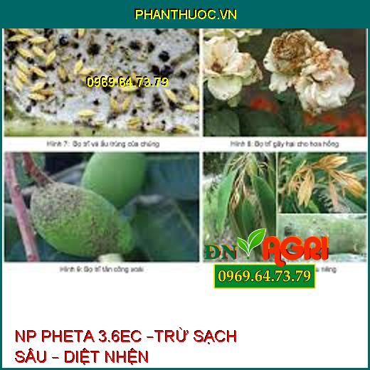 NP PHETA 3.6EC –TRỪ SẠCH SÂU – DIỆT NHỆN