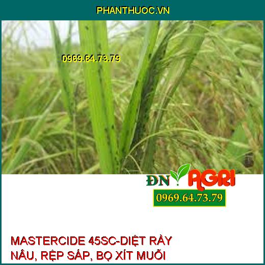 MASTERCIDE 45SC-DIỆT RẦY NÂU, RỆP SÁP, BỌ XÍT MUỖI