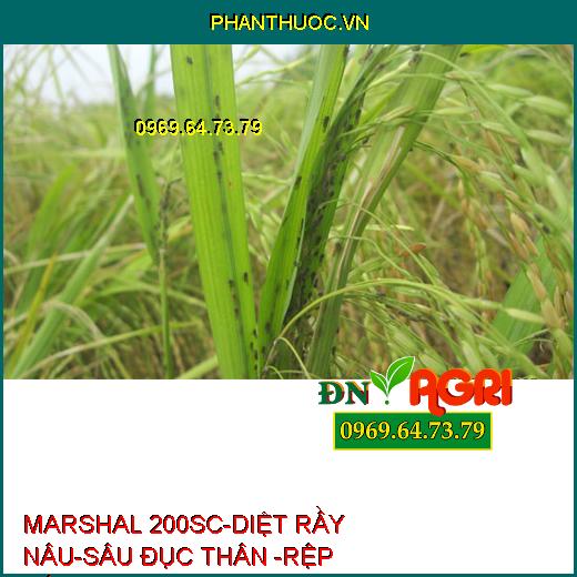 MARSHAL 200SC-DIỆT RẦY NÂU-SÂU ĐỤC THÂN -RỆP SÁP