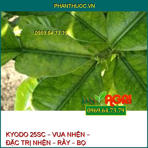 KYODO 25SC – VUA NHỆN – ĐẶC TRỊ NHỆN – RẦY – BỌ TRĨ