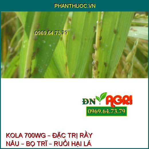 KOLA 700WG – ĐẶC TRỊ RẦY NÂU – BỌ TRĨ – RUỒI HẠI LÁ