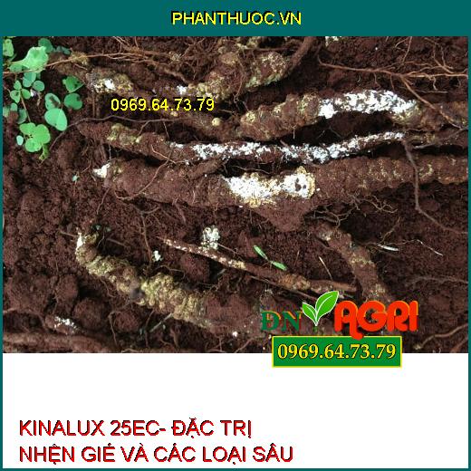 KINALUX 25EC- ĐẶC TRỊ NHỆN GIÉ VÀ CÁC LOẠI SÂU