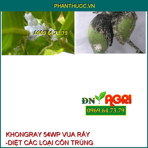 KHONGRAY 54WP VUA RẦY -DIỆT CÁC LOẠI CÔN TRÙNG