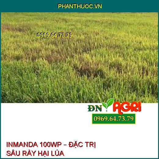 INMANDA 100WP – ĐẶC TRỊ SÂU RẦY HẠI LÚA