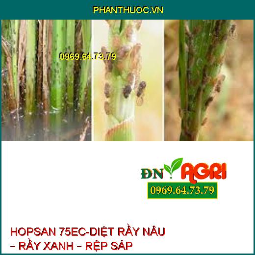 HOPSAN 75EC-DIỆT RẦY NÂU – RẦY XANH – RỆP SÁP