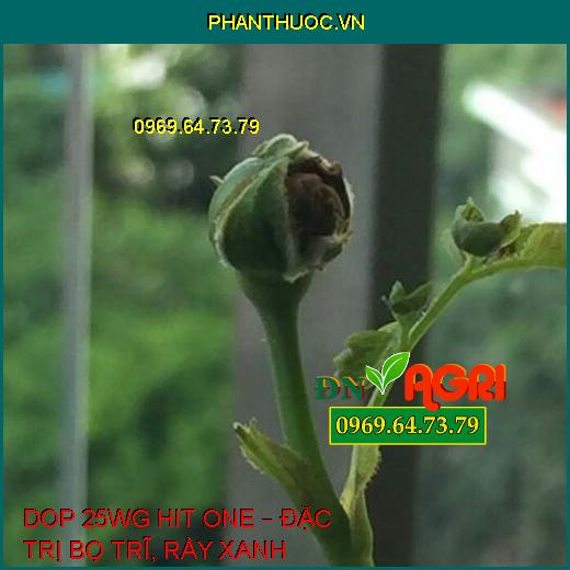 DOP 25WG HIT ONE – ĐẶC TRỊ BỌ TRĨ, RẦY XANH