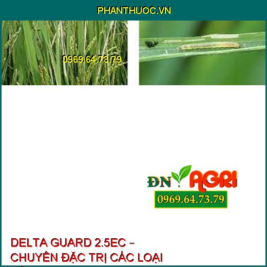 DELTA GUARD 2.5EC – CHUYÊN ĐẶC TRỊ CÁC LOẠI SÂU