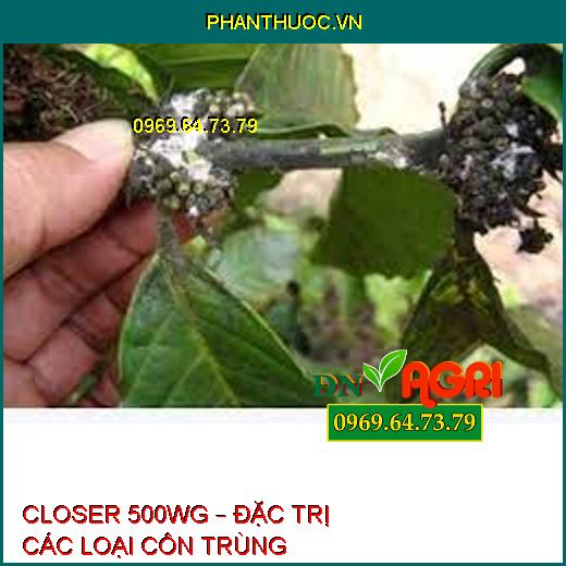 CLOSER 500WG – ĐẶC TRỊ CÁC LOẠI CÔN TRÙNG