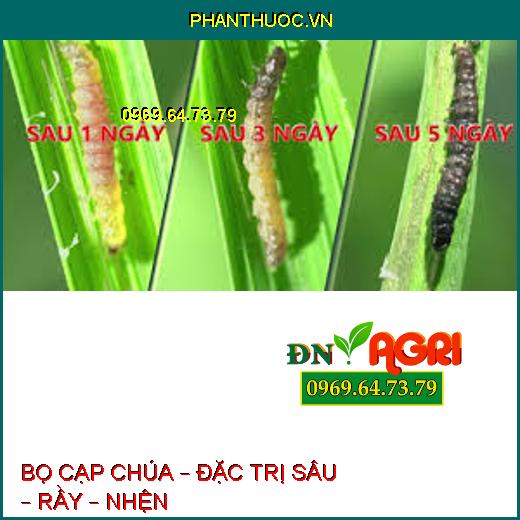 BỌ CẠP CHÚA – ĐẶC TRỊ SÂU – RẦY – NHỆN