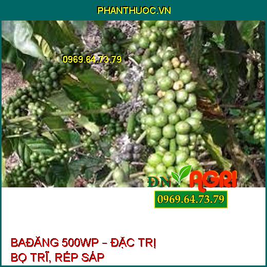 BAĐĂNG 500WP – ĐẶC TRỊ BỌ TRĨ, RẾP SÁP