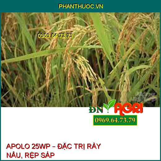 APOLO 25WP – ĐẶC TRỊ RẦY NÂU, RỆP SÁP