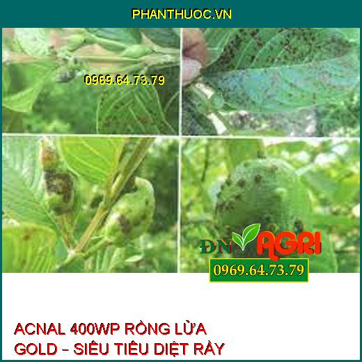 ACNAL 400WP RỒNG LỬA GOLD – SIÊU TIÊU DIỆT RẦY