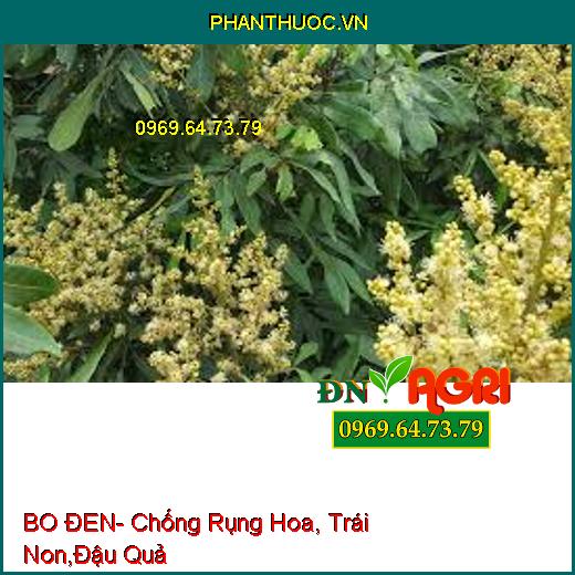 BO ĐEN- Chống Rụng Hoa, Trái Non,Đậu Quả