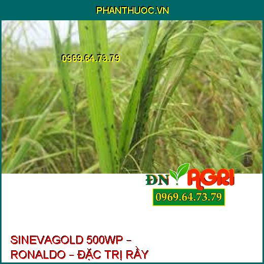 SINEVAGOLD 500WP – RONALDO – ĐẶC TRỊ RẦY