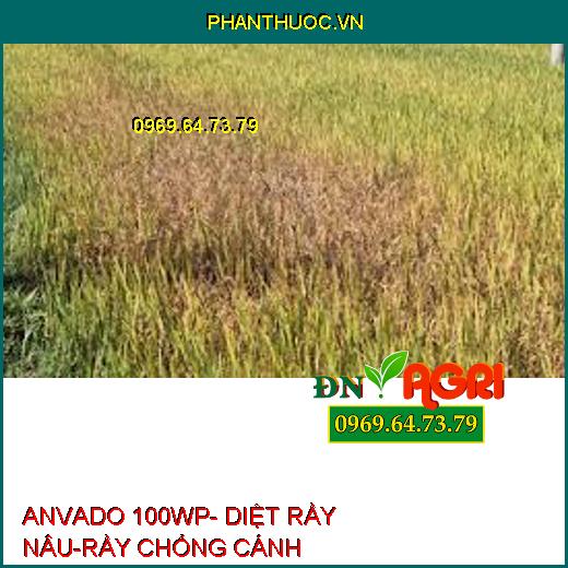 ANVADO 100WP- DIỆT RẦY NÂU-RẦY CHỔNG CÁNH