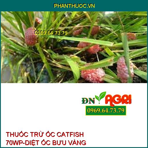 THUỐC TRỪ ỐC CATFISH 70WP-DIỆT ỐC BƯU VÀNG