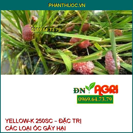 YELLOW-K 250SC – ĐẶC TRỊ CÁC LOẠI ỐC GÂY HẠI