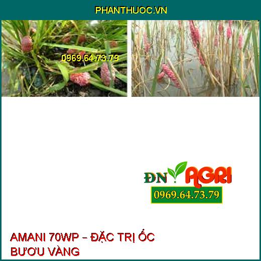 AMANI 70WP – ĐẶC TRỊ ỐC BƯƠU VÀNG