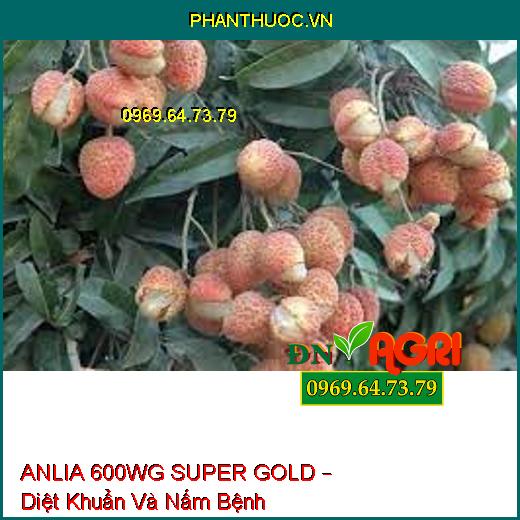 ANLIA 600WG SUPER GOLD – Diệt Khuẩn Và Nấm Bệnh