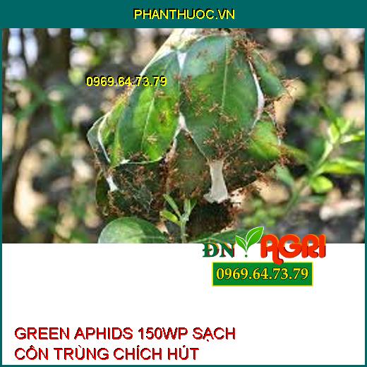 GREEN APHIDS 150WP SẠCH CÔN TRÙNG CHÍCH HÚT