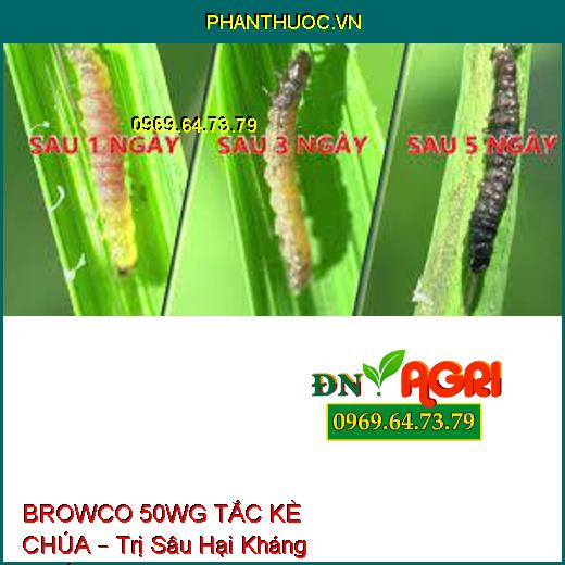 BROWCO 50WG TẮC KÈ CHÚA – Trị Sâu Hại Kháng Thuốc