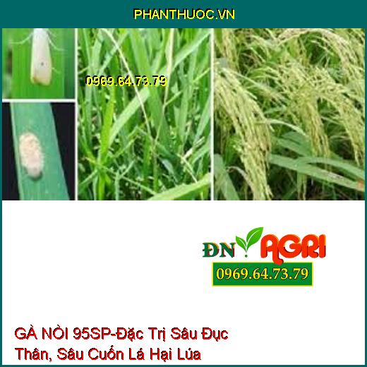 GÀ NÒI 95SP-Đặc Trị Sâu Đục Thân, Sâu Cuốn Lá Hại Lúa