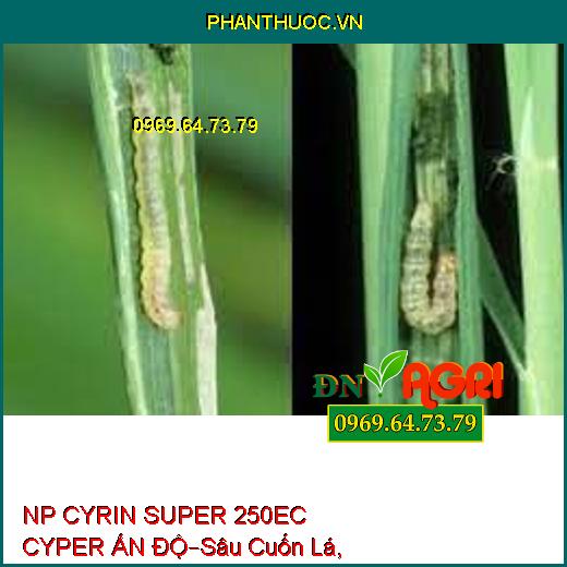 NP CYRIN SUPER 250EC CYPER ẤN ĐỘ–Sâu Cuốn Lá, Sâu Xa