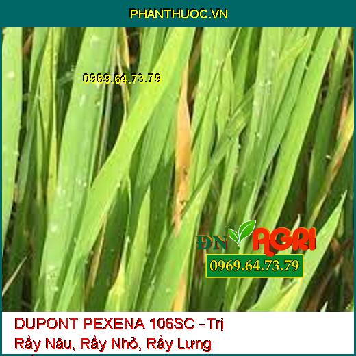 DUPONT PEXENA 106SC –Trị Rầy Nâu, Rầy Nhỏ, Rầy Lưng Trắng