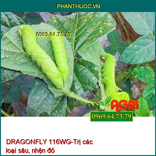 DRAGONFLY 116WG-Trị các loại sâu, nhện đỏ