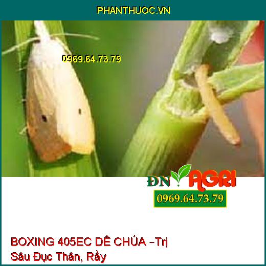 BOXING 405EC DÊ CHÚA –Trị Sâu Đục Thân, Rầy