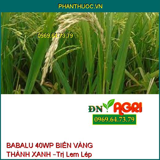 BABALU 40WP BIẾN VÀNG THÀNH XANH –Trị Lem Lép Hạt,Đạo Ôn