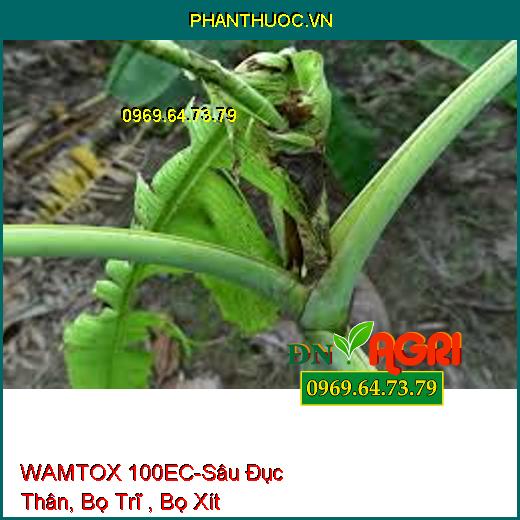 WAMTOX 100EC-Sâu Đục Thân, Bọ Trĩ , Bọ Xít