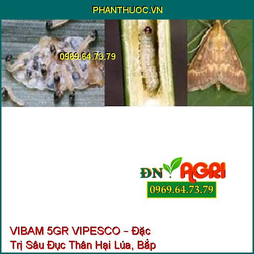 VIBAM 5GR VIPESCO – Đặc Trị Sâu Đục Thân Hại Lúa, Bắp