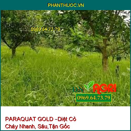 PARAQUAT GOLD –Diệt Cỏ Cháy Nhanh, Sâu,Tận Gốc