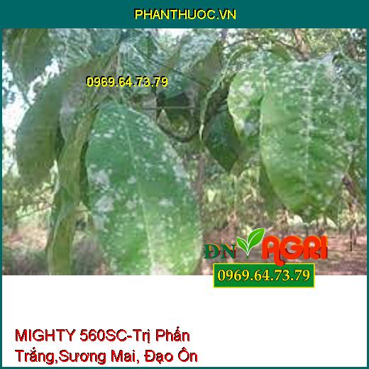 MIGHTY 560SC-Trị Phấn Trắng,Sương Mai, Đạo Ôn