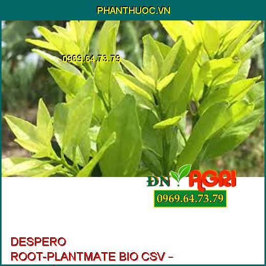 DESPERO ROOT-PLANTMATE BIO CSV – Đâm Chồi,Nuôi Quả