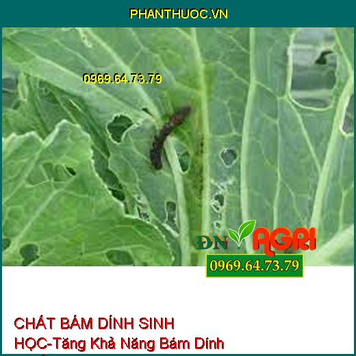 CHẤT BÁM DÍNH SINH HỌC-Tăng Khả Năng Bám Dính Thuốc