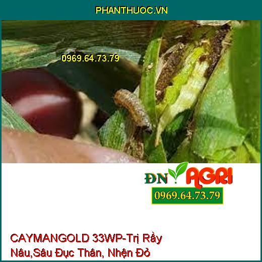 CAYMANGOLD 33WP-Trị Rầy Nâu,Sâu Đục Thân, Nhện Đỏ