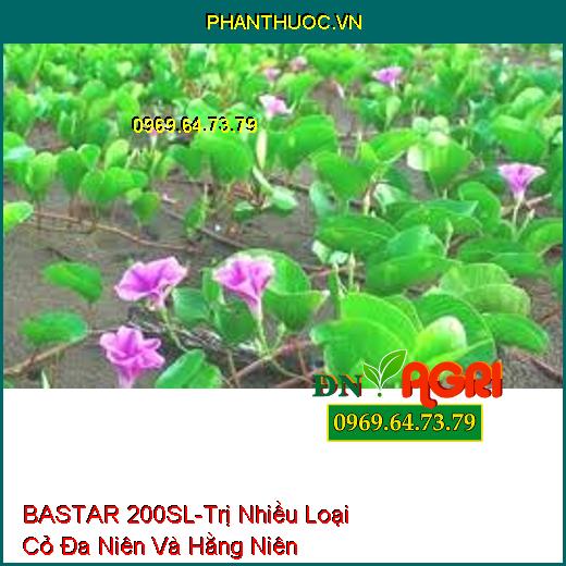 BASTAR 200SL-Trị Nhiều Loại Cỏ Đa Niên Và Hằng Niên